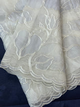 Tissue Organza Applique work saree MS15203