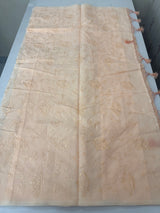 Netkota embriodery saree MSH263 PastelPeach