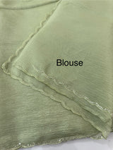 Handworked Crush Organza saree with applique work MBS676 - PastelGreen