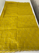 Soft crush Organza saree with embroidery and applique work MS14764