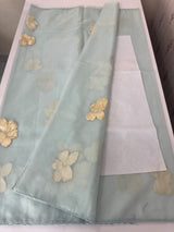 Soft Organza tissue Applique work saree MSLK116