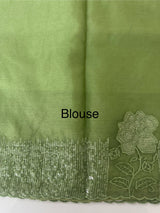 Semi Organza saree with applique and sequence borders - MCW699 DustyGreen