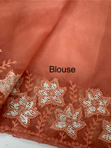 Soft organza saree with sequins cutwork borders- MCW541 - Peach