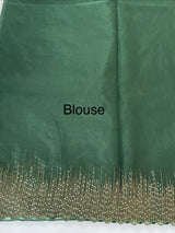 Semi Organza saree with embroidery borders - MSH296