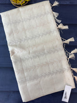 Blended tussar saree with embriodery - MS8665 Pearl Cream
