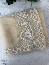 Tissue Organza saree with Kutch hand embroidery and mirror work - MS14799 Beige