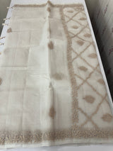 Kota Moonga checks saree with Chikankari work MSH241