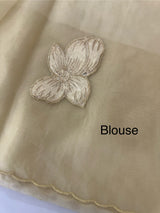 Soft Organza tissue Applique work saree MSLK116 Beige