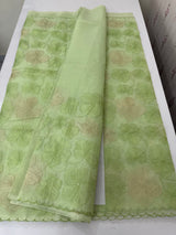 Viscose organza saree with thread work - MSH925 PastelGreen