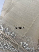 Tissue Organza saree with Kutch hand embroidery and mirror work - MS14799 Beige