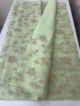 Viscose Organza saree with applique work-MSH238 Pista