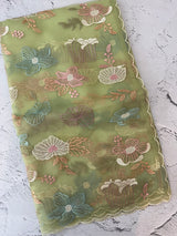 Organza saree with embroidery - MOS390 PastelGreen