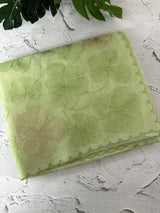 Viscose organza saree with thread work - MSH925 PastelGreen