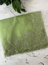 Soft Organza saree with embroidery borders - MSH299