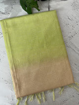 Semi tussar saree with thread work MTS1001 - Cream to Green