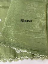 Soft crush Organza saree with embroidery and applique work MS14764