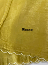Soft crush Organza saree with embroidery and applique work MS14764