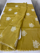Soft crush Organza saree with embroidery and applique work MS14764