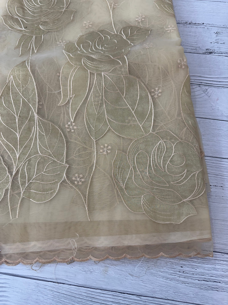 Organza saree with tissue applique work MS5081 - Beige