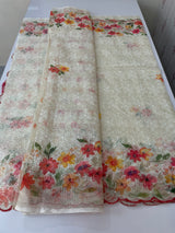 Phulkari NetKota Embroidery and digital printed saree - OffWhite MS6001