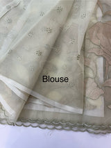 Organza saree with tissue applique work MS5081 - Pastel DuskyGreen