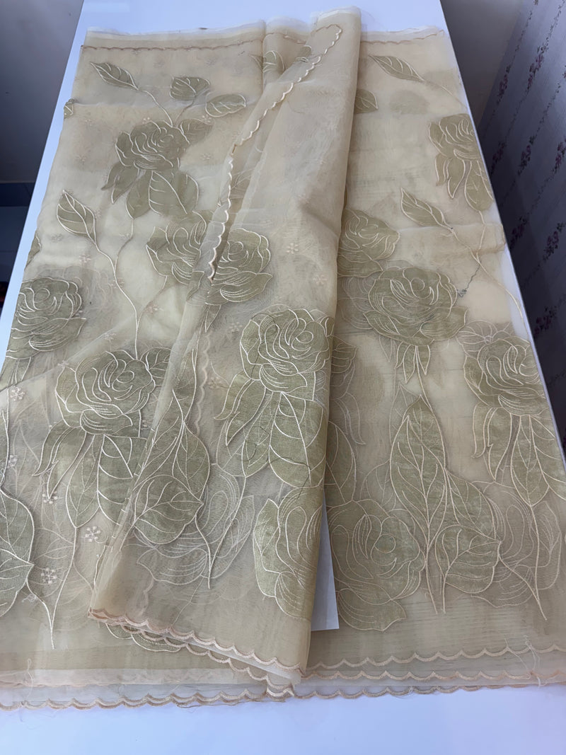 Organza saree with tissue applique work MS5081 - Beige