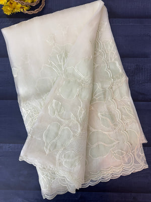Tissue Organza Applique work saree MS15203- Pastel MintGreen
