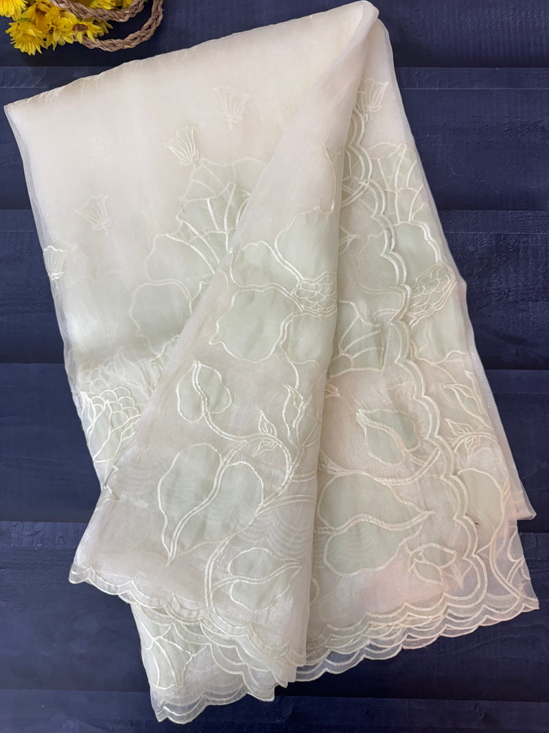Tissue Organza Applique work saree MS15203- Pastel MintGreen