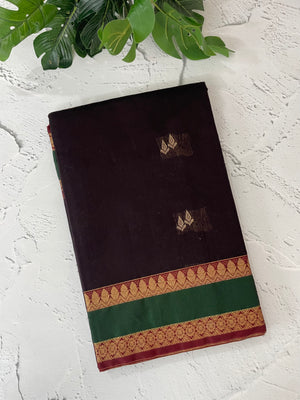 Kanchi Silk cotton saree with zari weaving - MSK897 Coffee to Green