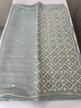 Tissue Organza saree with hand embroidery - MS14791 PowderBlue