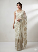 Organza saree with tissue applique work MS5081 - Pastel DuskyGreen