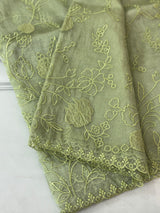 Tissue Organza Applique work saree MS14053