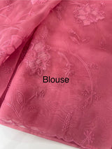Glass organza saree with applique work- MSHW229