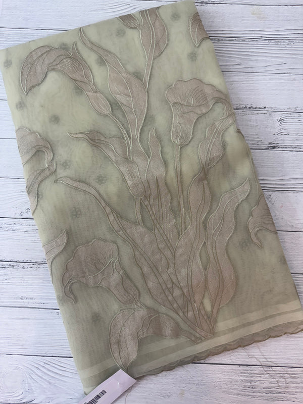 Organza saree with tissue applique work MS5081 - Pastel DuskyGreen
