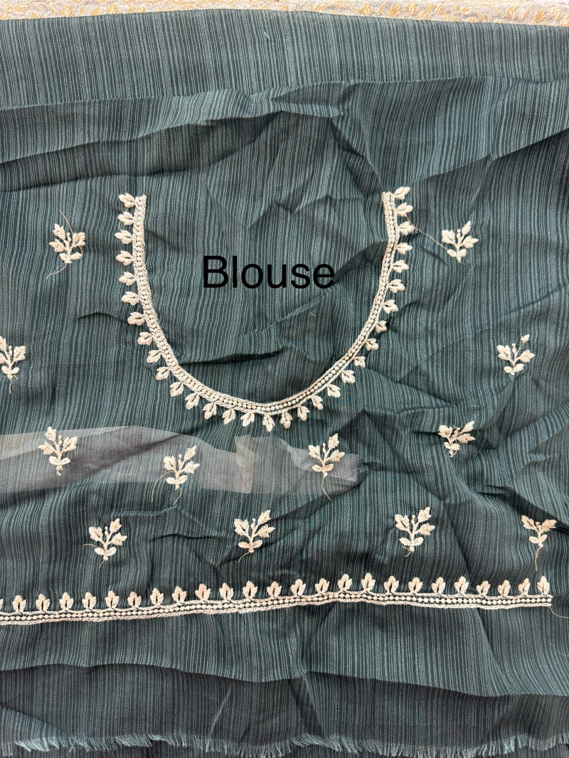 Chiffon Georgette saree with embriodery border - SRDIRR
