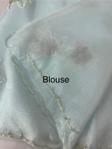 Soft crush Organza saree with applique work MBS679 - PastelBlue