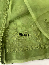Soft organza saree with applique and thread work - MSH956 (2) DustyGreen