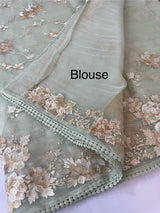 Tissue Organza saree with thread work  MS14931 PastelGreen