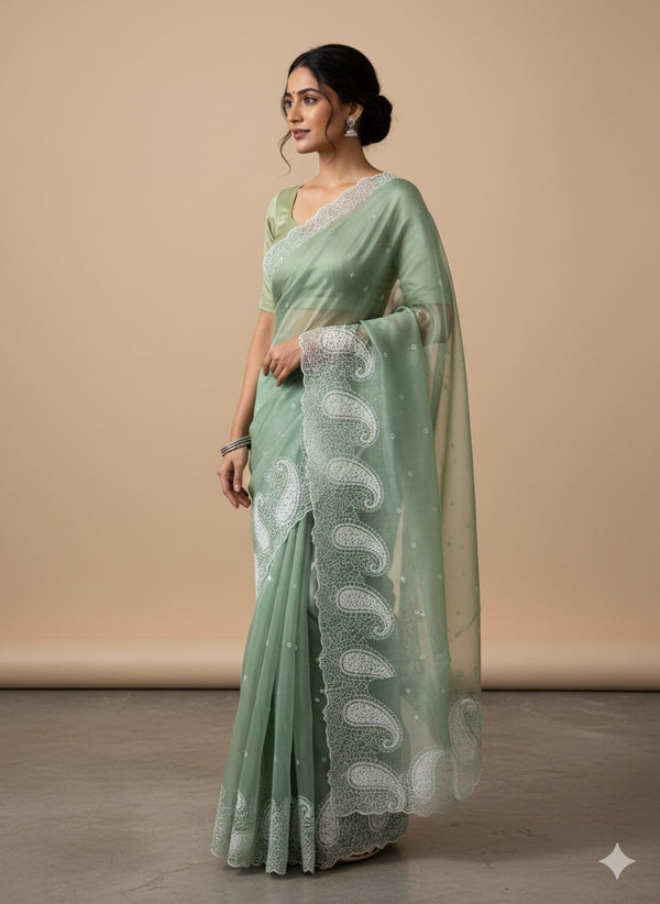 Viscose Organza saree with embriodery-MS14414