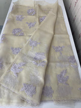 Shimmer Crush Organza saree with applique work MBS698