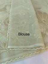 Organza saree with tissue applique work MS5081 - Pastel DuskyGreen