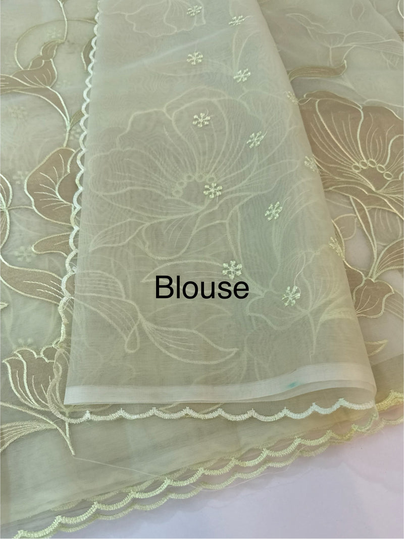 Organza saree with tissue applique work MS5081 - Pastel DuskyGreen