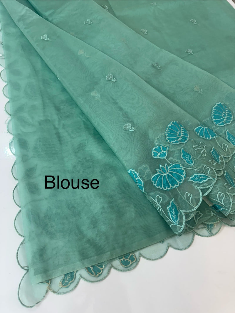 Viscose Organza saree with applique work-MSH103 GreenmixBlue