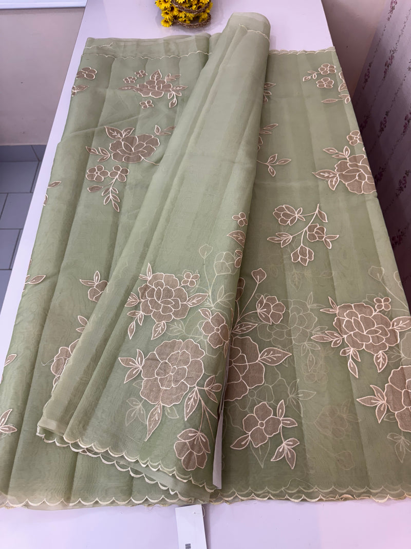 Organza saree with applique work MS5081