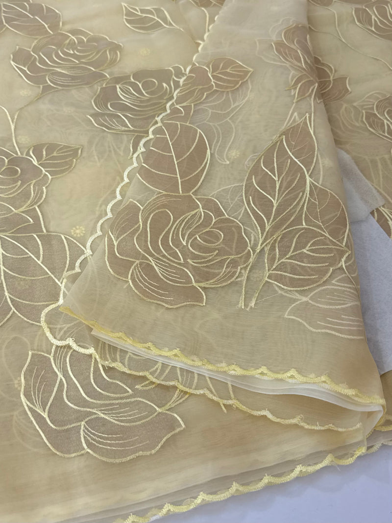 Organza saree with tissue applique work MS5081 - Ivory