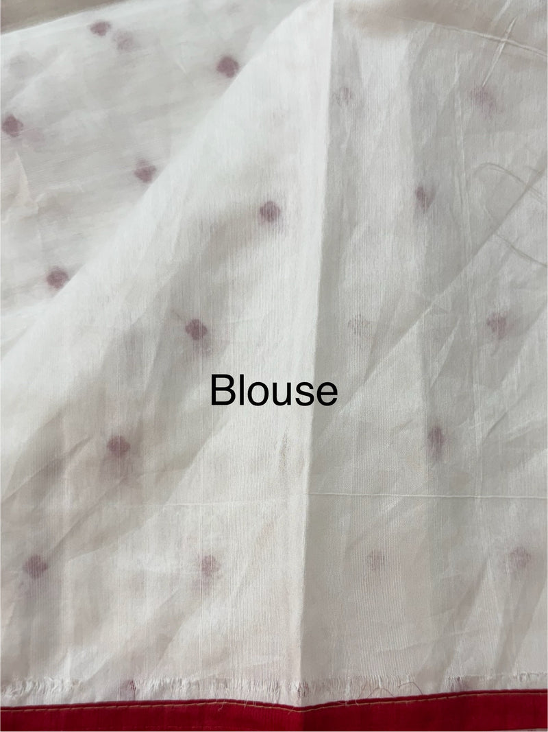 Blended tussar saree with embriodery - MS14401 White and Red