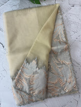 Soft Turkish Organza saree MSOS101