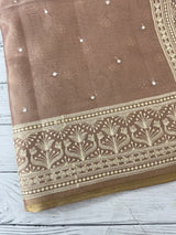Tissue silk saree with Chikankari embroidery MTTS97(5)