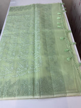 Semi organza saree with lace embroidery MSH117- Pastel PistaGreen