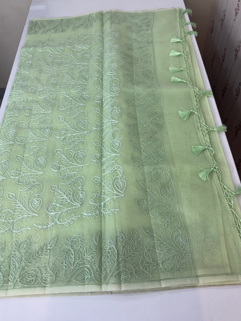 Semi organza saree with lace embroidery MSH117- Pastel PistaGreen
